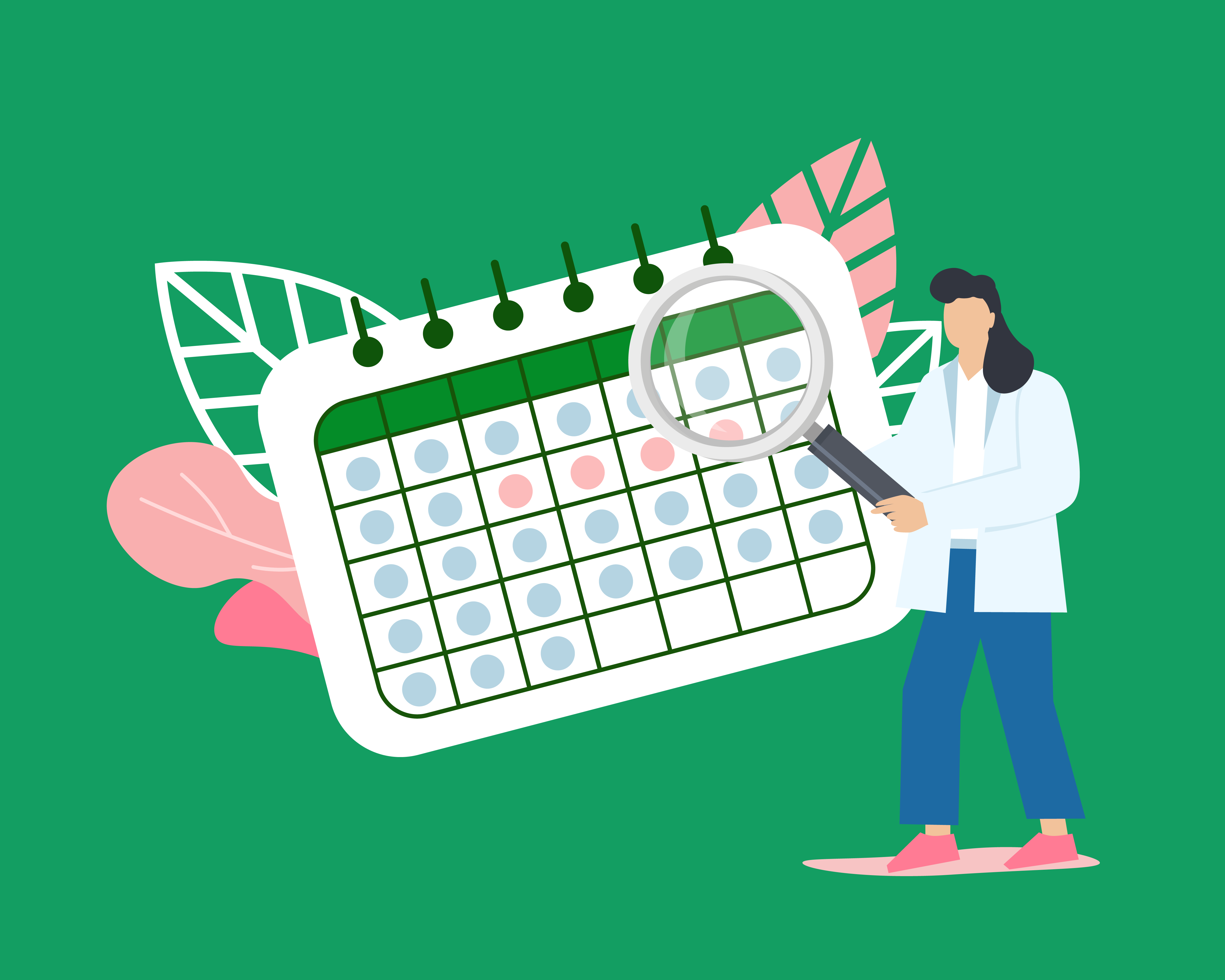 Plan de travail 2